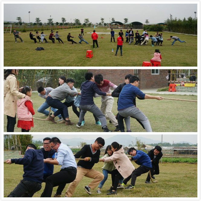 易網(wǎng)科技拓展活動——拔河比賽