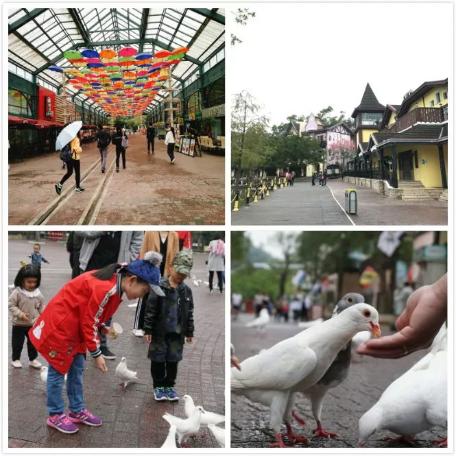 易網科技開展深圳東部華僑城2日團體游-茶溪谷悠閑公園